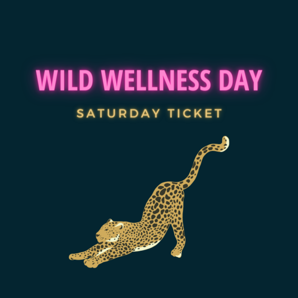 Wild Wellness Day inkl. Goodie Bag – Bild 3